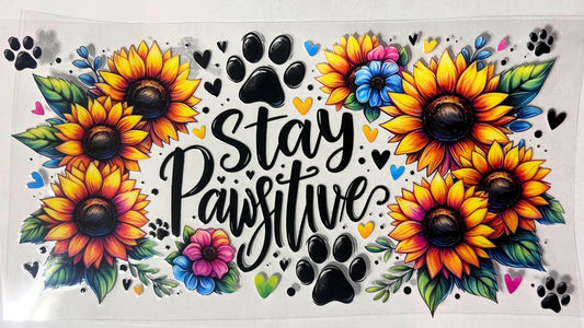 Stay Pawsitive